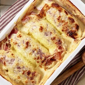 Gegratineerd witloof