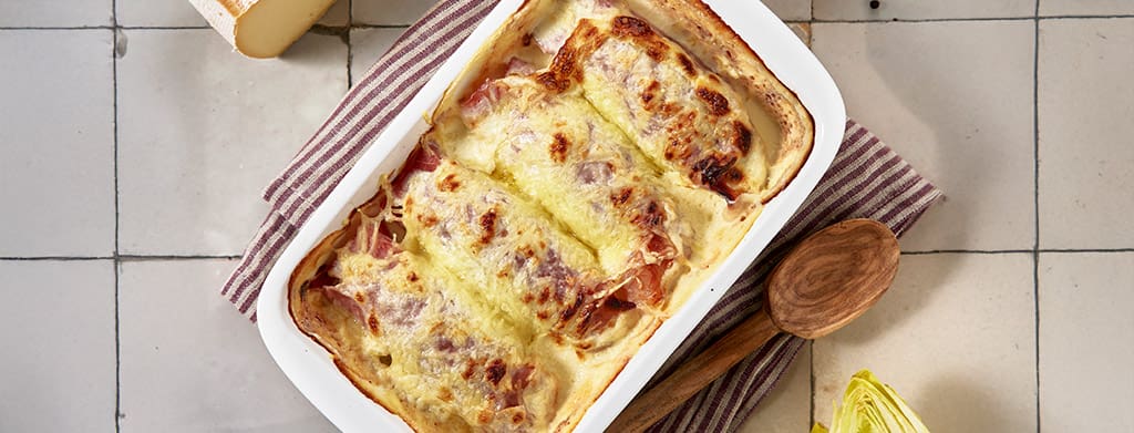Gegratineerd witloof